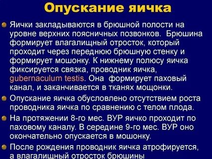 Что такое водянка яичка у мужчин