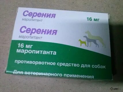 Противорвотное для собак