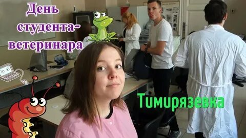 Плюсы ветеринара