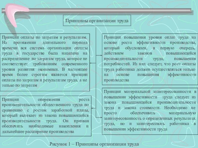 Принцип повышения. Принципы организации оплаты труда в организации. Принципы системы оплаты труда. Основополагающие принципы системы оплаты труда. Основные принципы оплаты труда персонала.