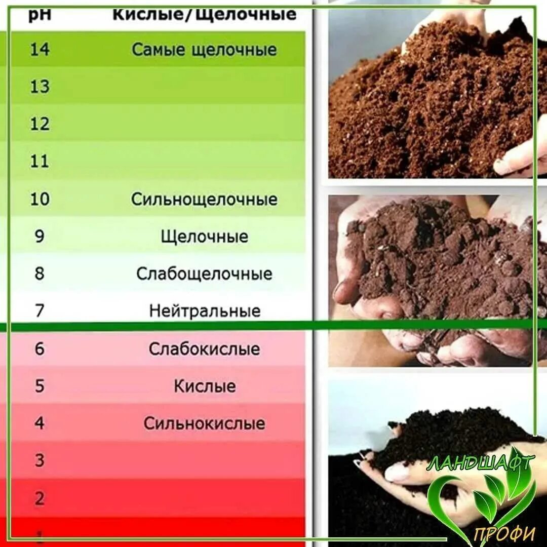 Как понять какая почва