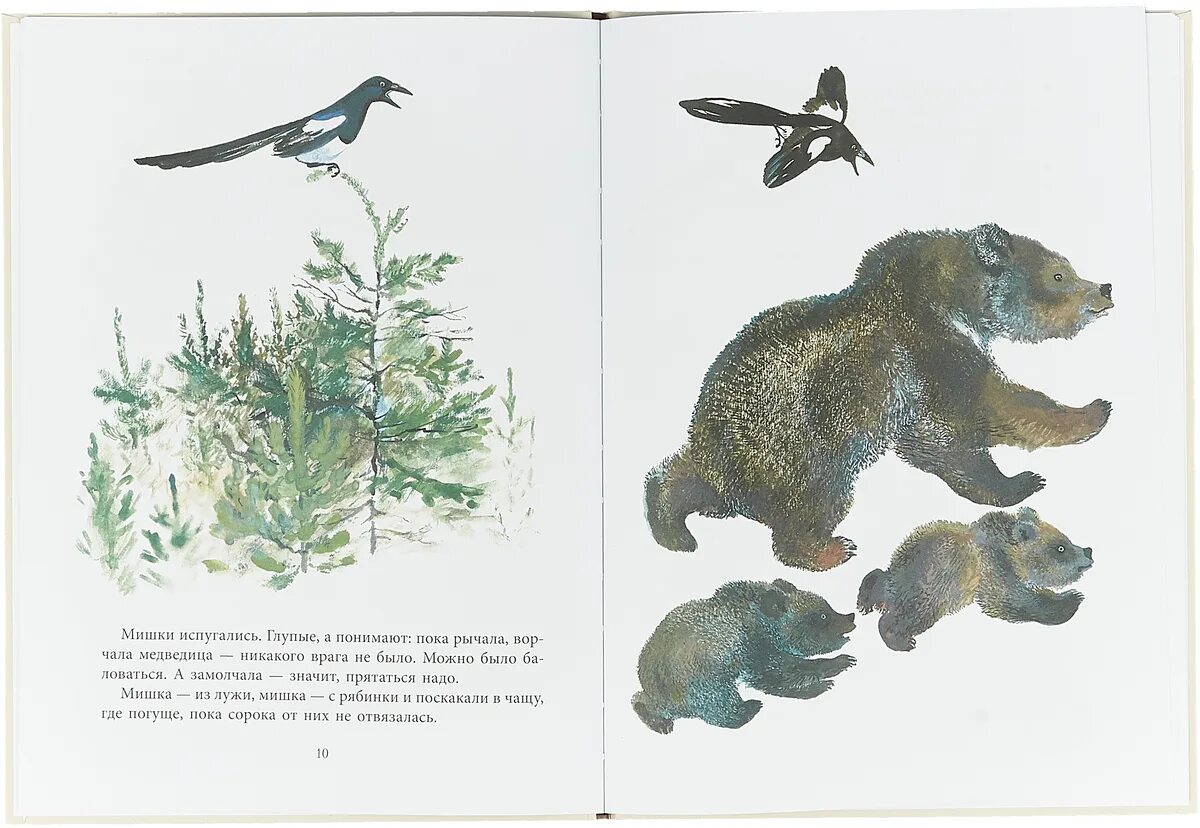 Сороки-убийцы книга. Книги о сороке птицах. Сорока белобока иллюстрации. Евгений чарушин болтливая сорока. Сороки книга читать.