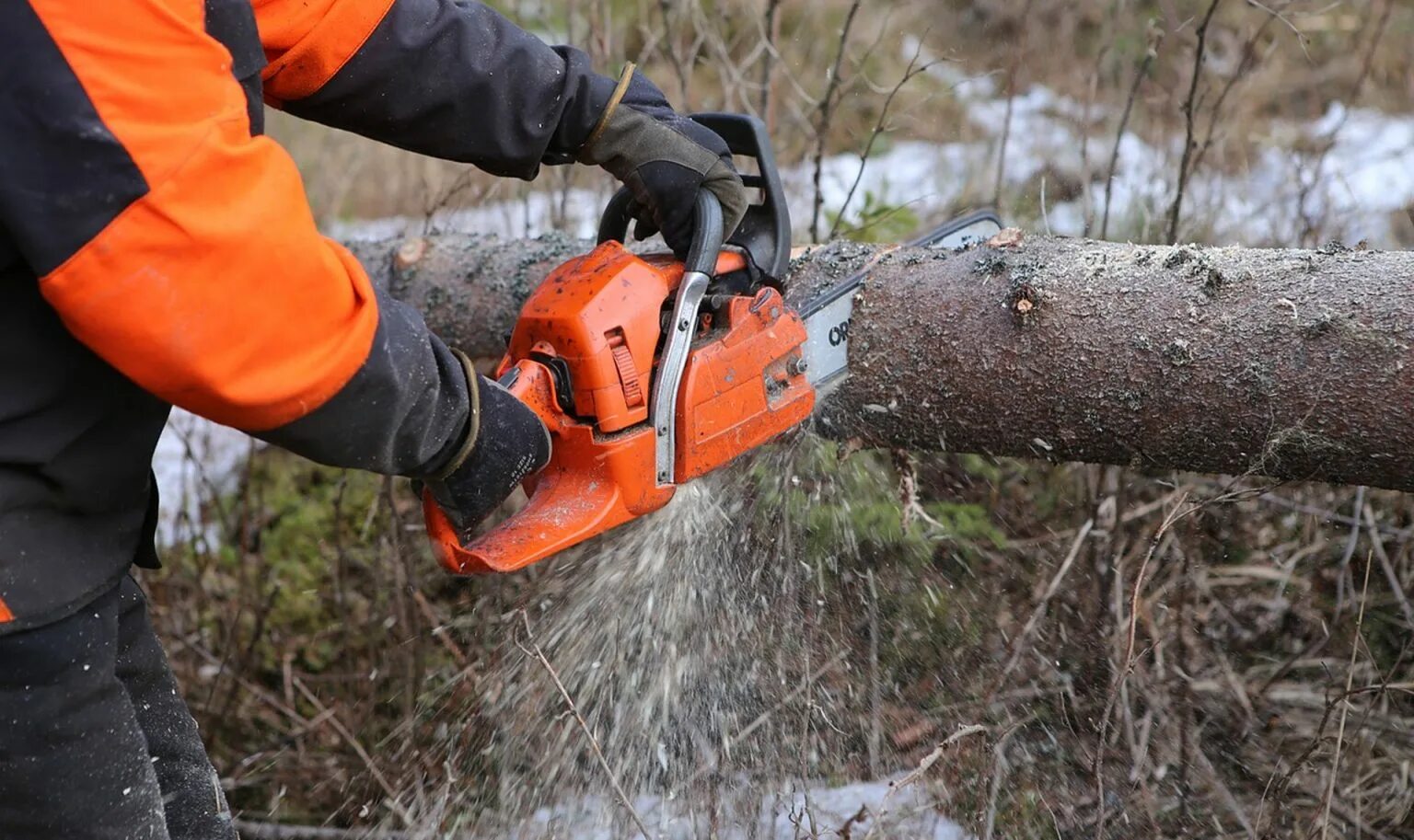 Вырубка деревьев работ. Санитарная рубка деревьев. Валка деревьев. Срубание деревьев. Лесорубы в лесу.