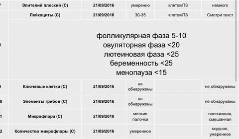 20 лейкоцитов в мазке при беременности. 20 лейкоцитов в мазке при беременности