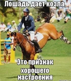 Первый выстрел был в коня текст