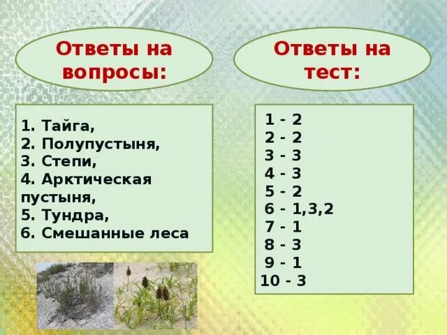 Тест 4 класс природные зоны россии плешаков