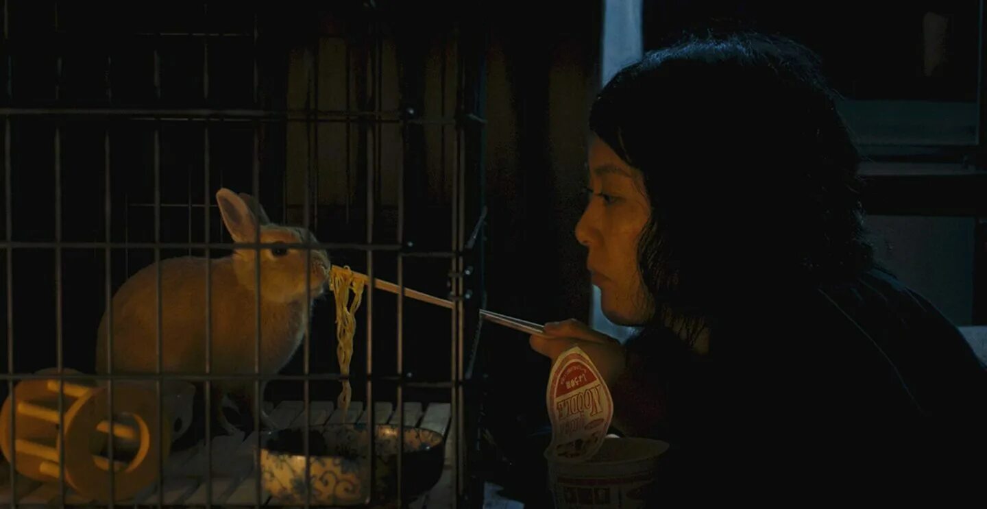 Hunter march. городской охотник аниме девушки. девичий источник фильм 1960 кадры. кумико лиса. кумико охотница за сокровищами.