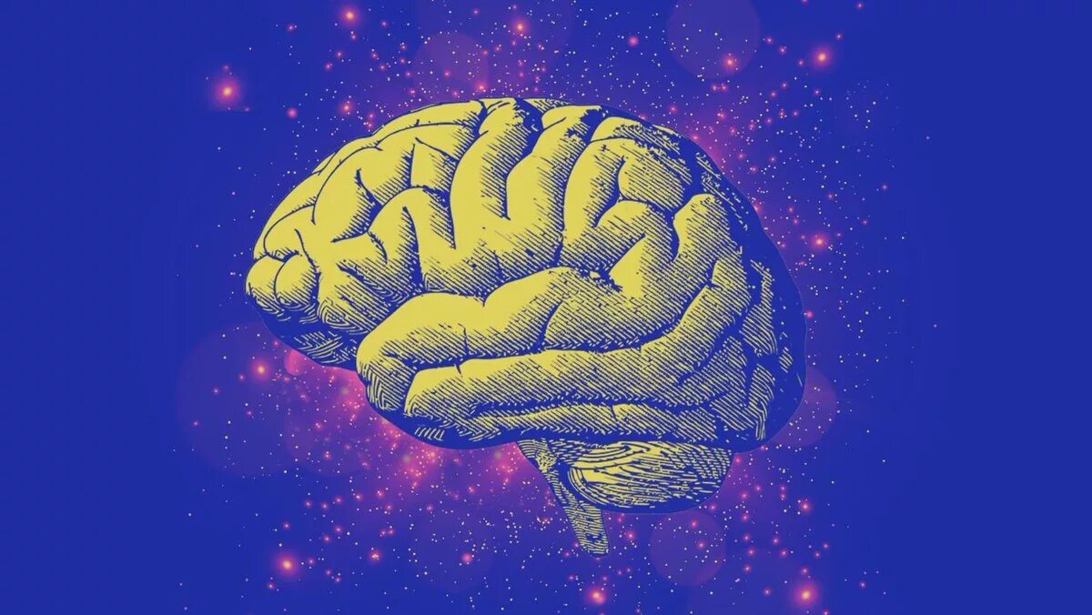 Мозг арт. Красивый мозг. Красивый арт мозг.