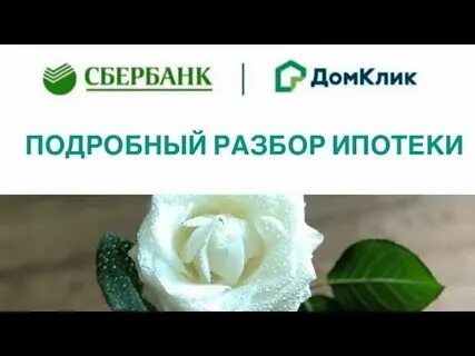 Сделка без ипотеки в сбербанке