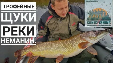 Кениг фишинг