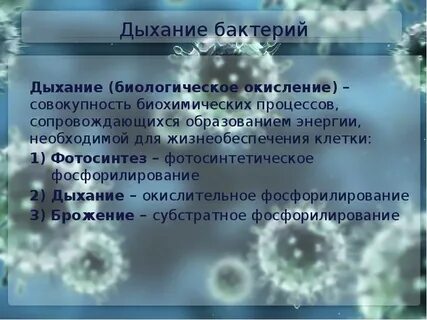 Клеточное дыхание бактерий