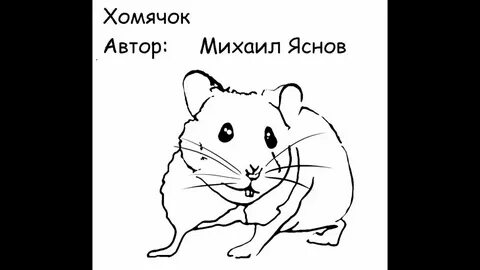Кодовое слово в хомяке 8 июля