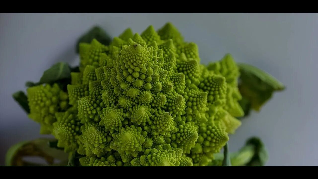 Cosmic broccoli