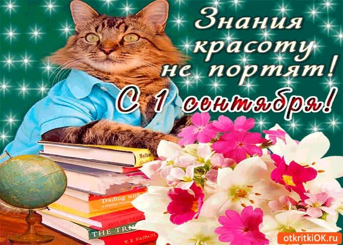 Приветик и отличного настроения. Желаю успехов в учебе. С началом учебного года. Успехов в учебе. Хорошего учебного дня.