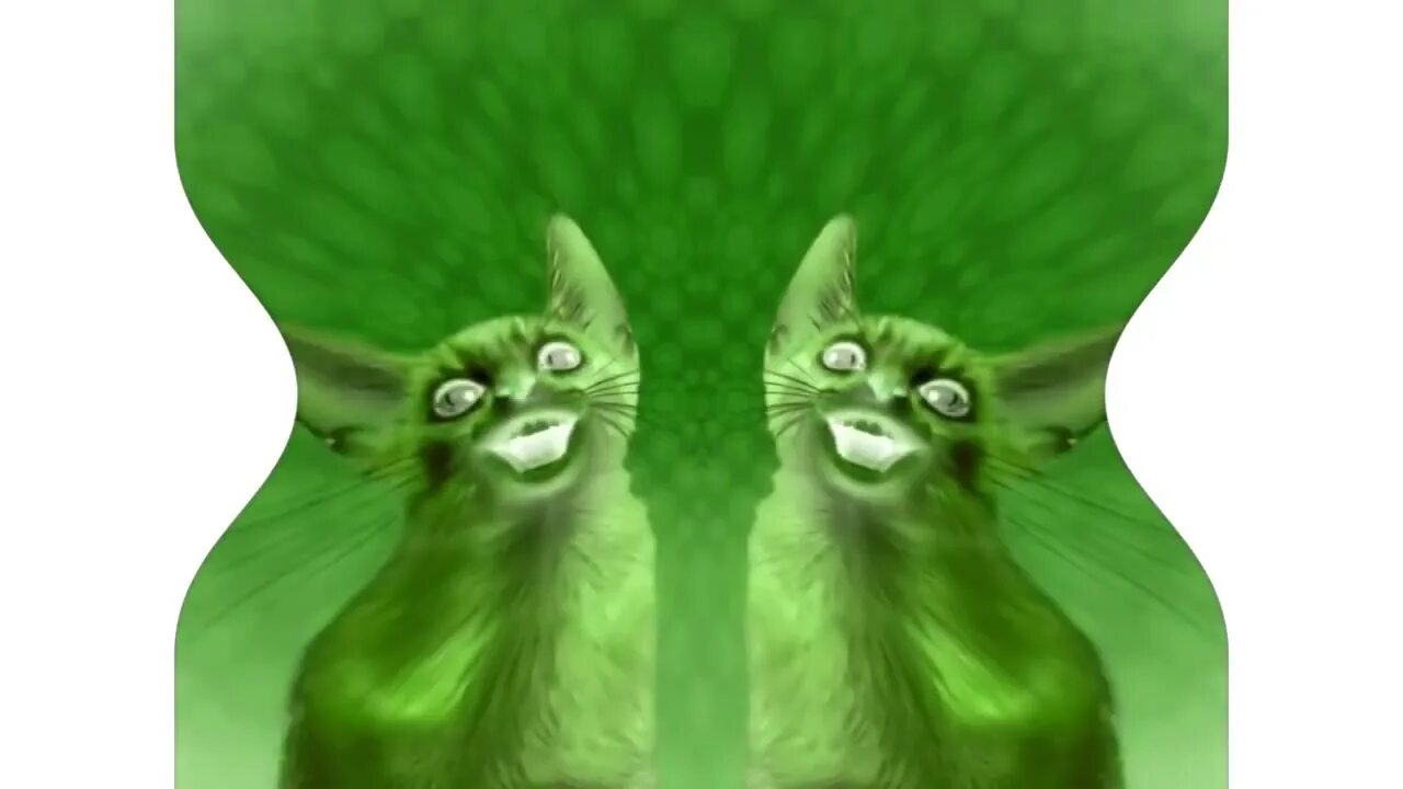 Inspired by preview 2 effects. Preview 2 numa cat effects. полайт кэт. preview 2 numa cat 2025 effects (inspired by preview 2 effects). preview 2 numa cat 3 effects.