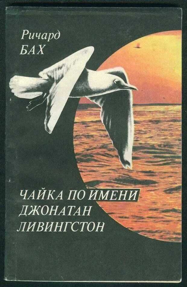 Чайка по имени читать полностью. Чайка по имени джонатан ливингстон книга. книга ричарда баха чайка по имени джонатан ливингстон.