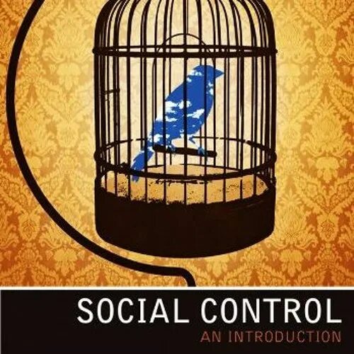 Control social. Social Control and deviations.