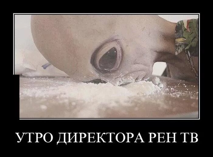 Почему нет рен тв. Директор рен тв инопланетянин. директор рен тв прикол. директор рен тв инопланетянин прикол. рен тв приколы.