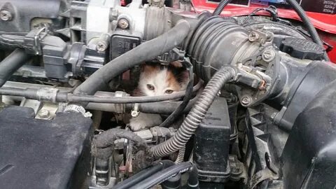 Акцент неисправности