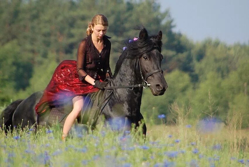 Учительница кони. Верхом на лошади. Девушка верхом на лошади. Девушка с лошадью. Девушка на коне верхом.