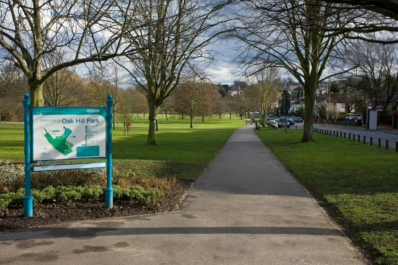 хилл парк липецк летом. хилл парк белоостров. парк на холме пенья в гимарайнше. Park hills ижевск. хилл парк липецк.