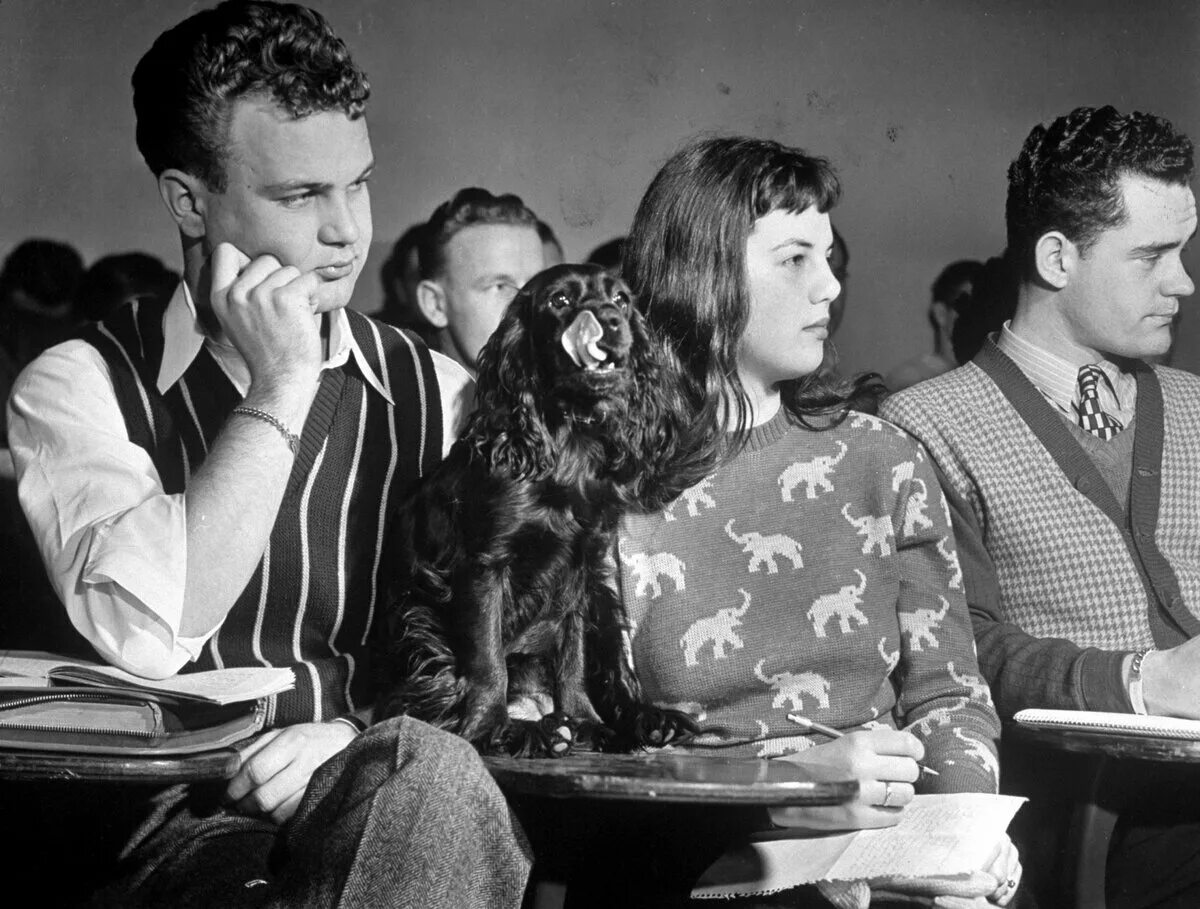 Бурк уайт. Бурк уайт. Бурк уайт. Бурк уайт. Бурк уайт.