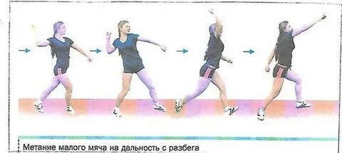 Реферат на тему метание малого мяча