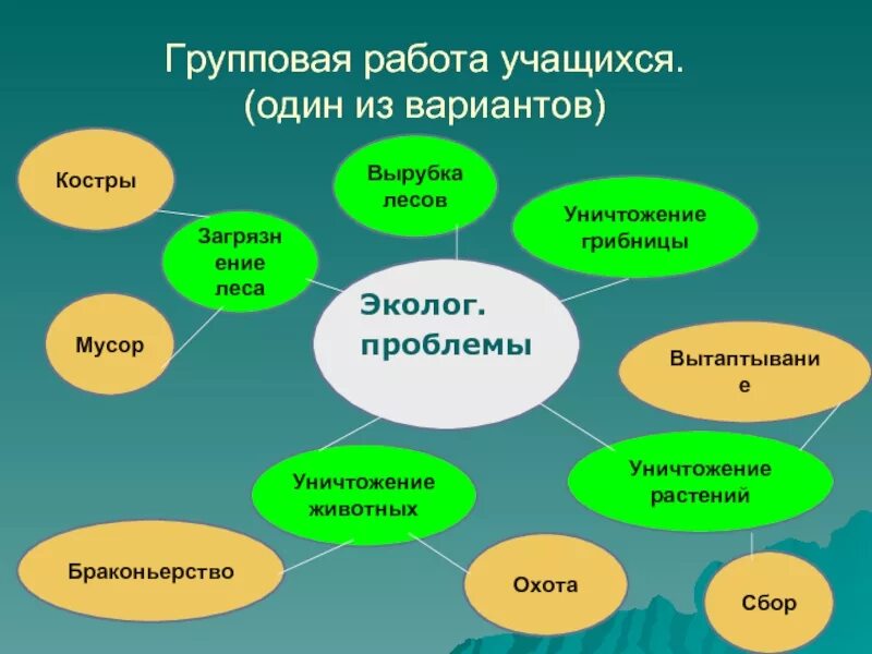 Проблемы по биологии в классе. Кластер экологические проблемы. кластер проблемы экологии. экологические проблемы схема. кластер на тему экология.