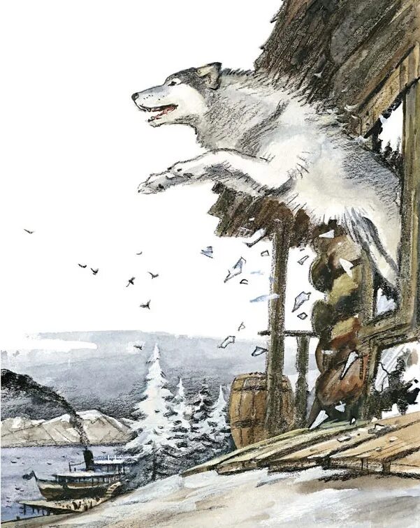 сказка белый клык. книга д лондон белый клык. лондон (1906). белый клык. иллюстратор джека лондона белый клык.