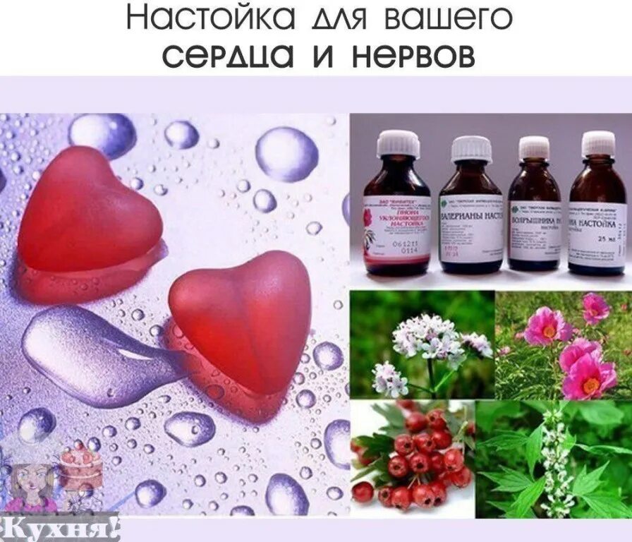 пять настоек для сердца. пять настоек для сердца. настойки в аптеке. пять настоек от гипертонии. успокоительные настойки.