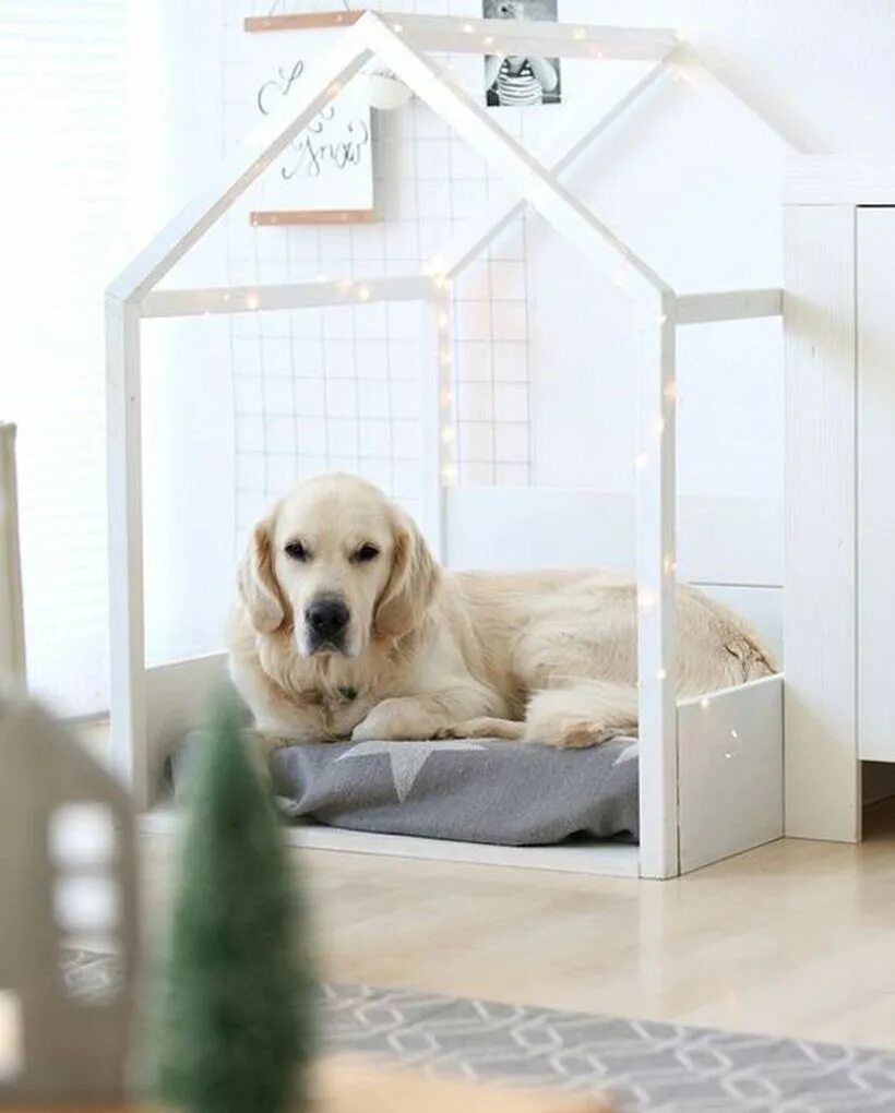 Bedroom dog. Домик для собаки в квартиру. Интерьерный домик для собаки. Дизайнерские домики для собак. Будка лежанка для собак в квартире.