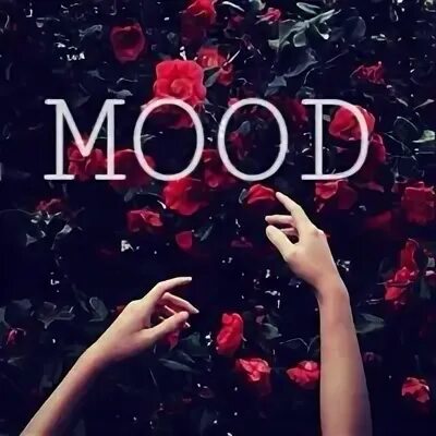 #mood что означает. Фартуки для мужчин с приколом. Mood по жизни. Mood по жизни. Mood фразы.