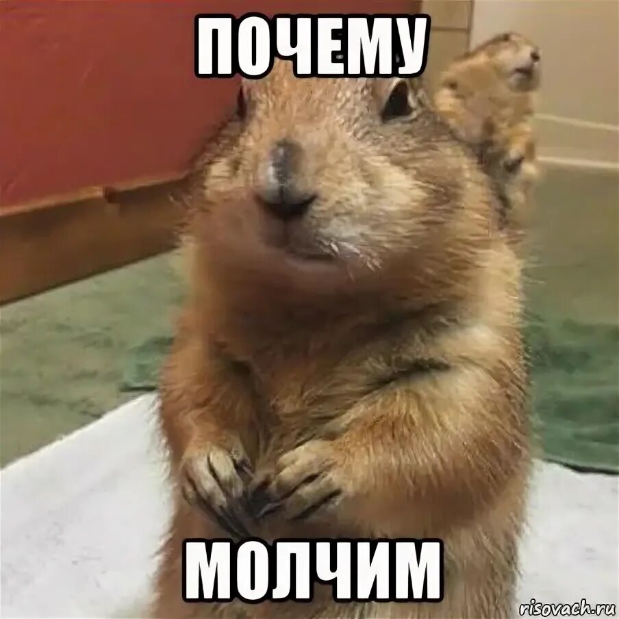 Почему молчишь всегда