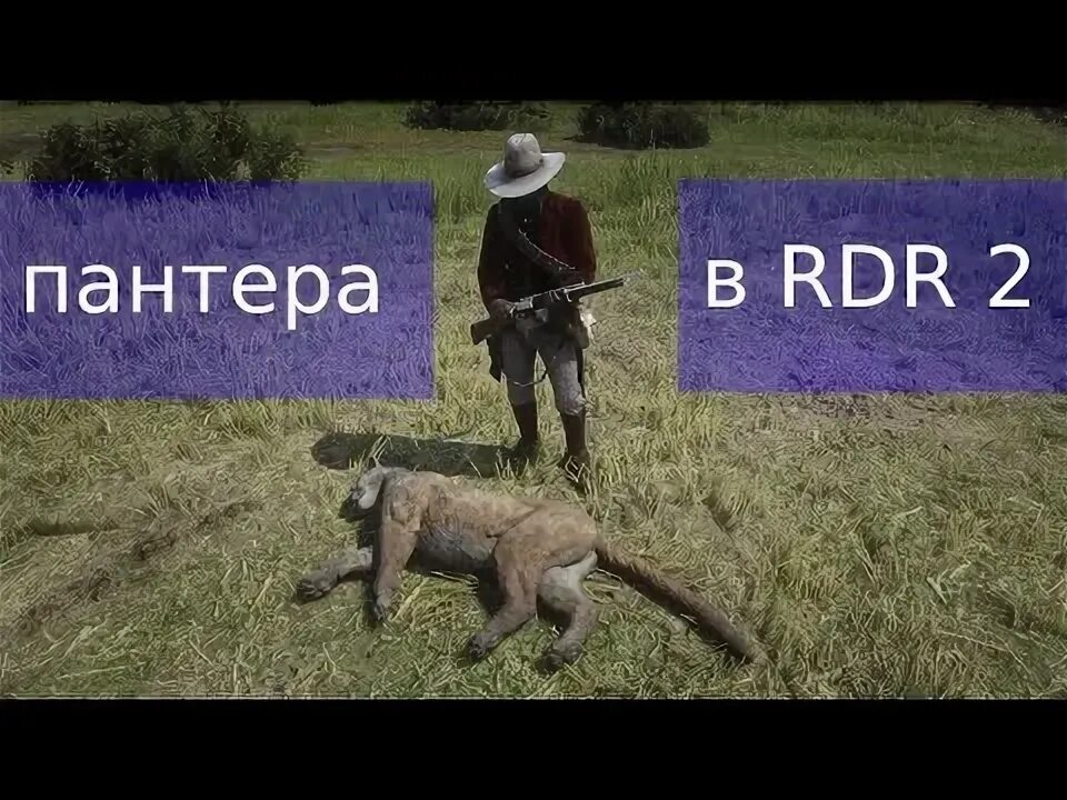 Превосходная пантера рдр 2. Превосходная шкура пантеры rdr 2. пантера рдр 2. легендарная пантера в рдр 2. легендарная пума rdr 2.