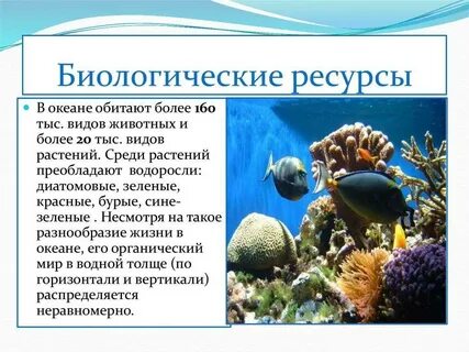 Морская вода примеры ресурсов