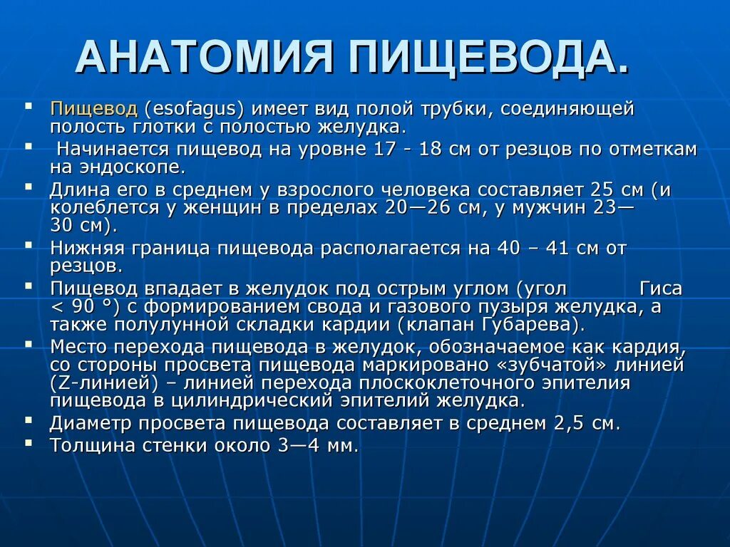 Став пищевода. Эндоскопическая анатомия пищевода. Кардия пищевода анатомия. Анатомические структуры пищевода. Физиология сужения пищевода.