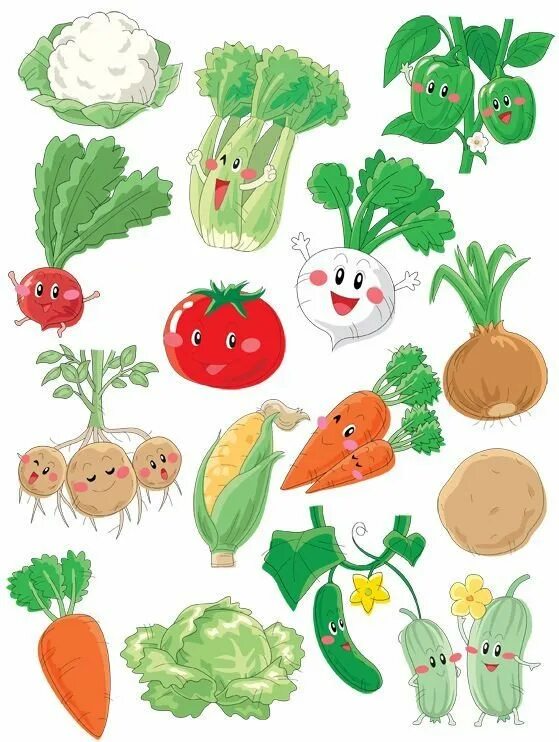 Огород на окне шаблоны для вырезания. Овощи для огорода в детском саду. Овощи для детей. Овощи иллюстрации для детей. Фрукты и овощи для вырезания.