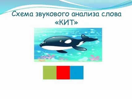 Картинка схема слова кит