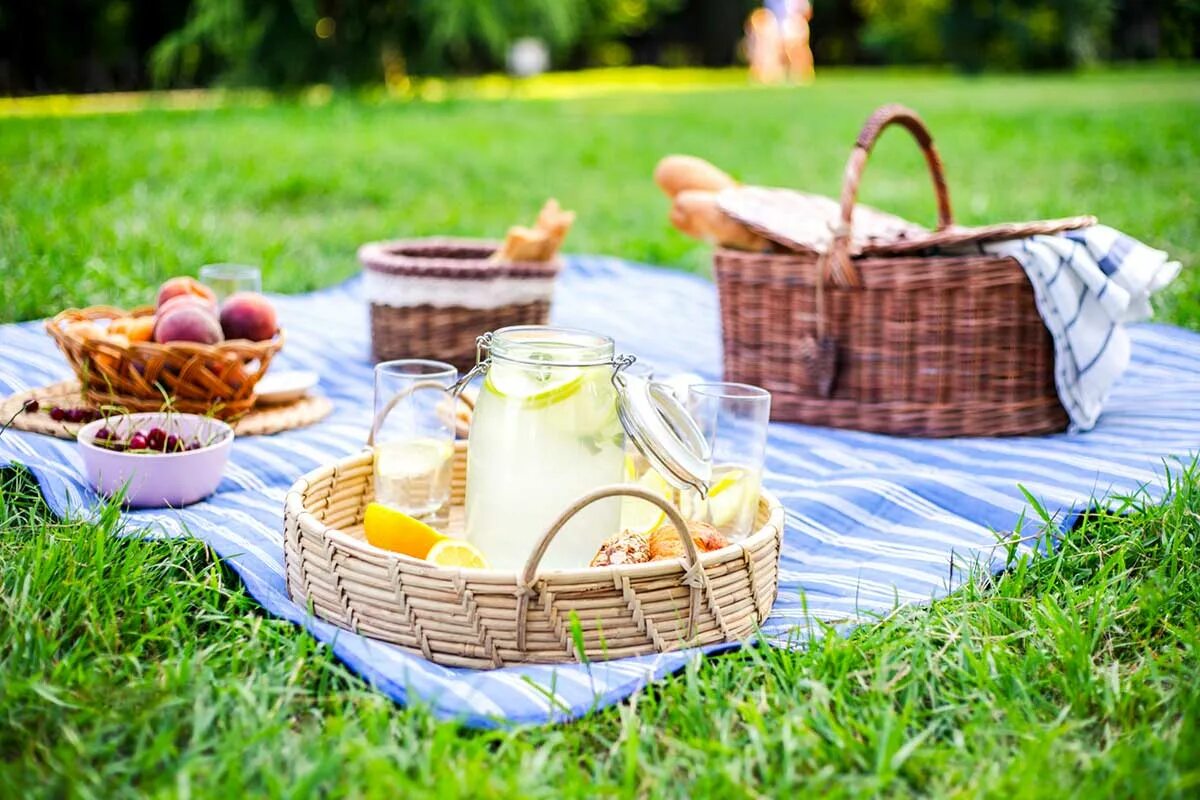 Пикник фон. Шикарный пикник на природе. Фотосессия пикник с лимонами. Пикник дайте хлеба