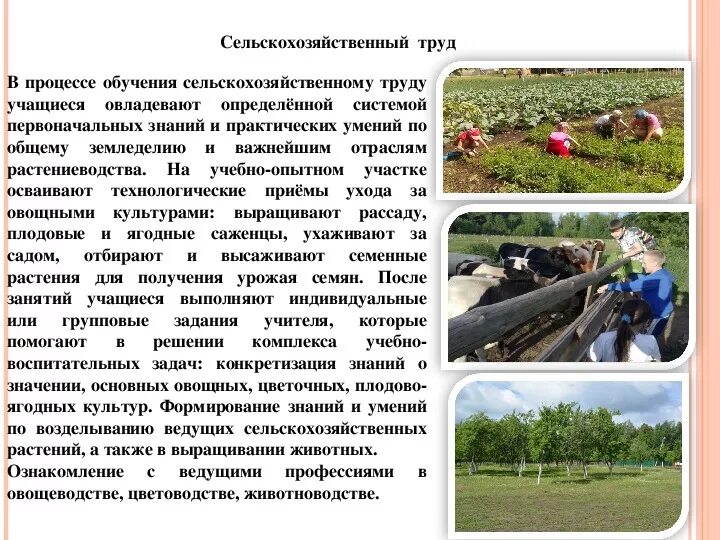 Программа сельхоз труд. Разновидности сельскохозяйственного труда. правила работы на сельхоз труде. доклад труд в сельской местности. проект по сельскохозяйственному труду.