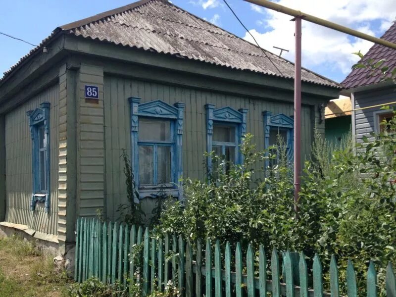 Погода красный куст мучкапский. Праздник на улице. Погода красный куст мучкапский. Гисметео мучкапский. Погода красный куст мучкапский.