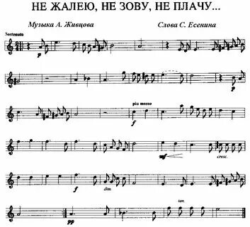 Не жалею не зову не плачу это
