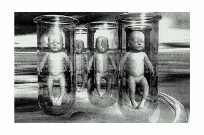 Люди клоны засекречено. Клонированный эмбрион. Человек из пробирки. Мутации в геноме человека. Клонирование человека эксперименты.