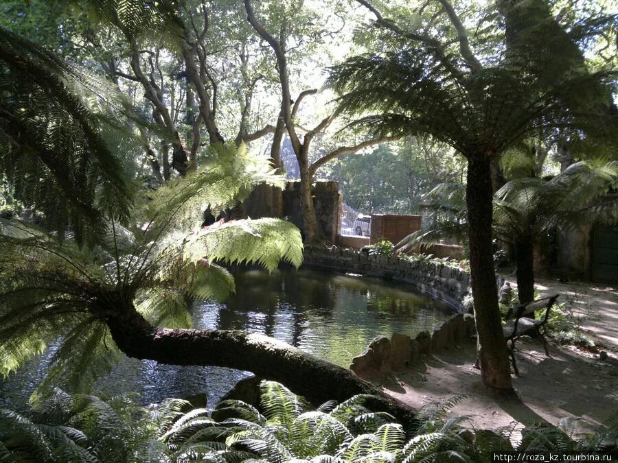 Парк развлечений европа-парк в русте. Странствия парка. Парк гуэль каталония. Парк путешествий. Скай парк сочи красная поляна.