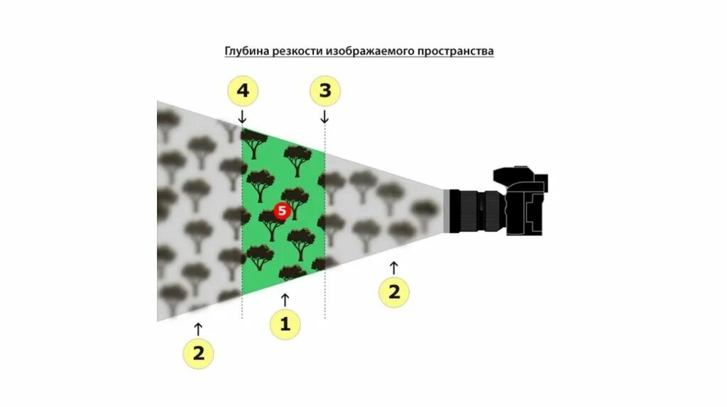 Грип глубина резко изображаемого пространства. Глубина резкости. Грип глубина резкости. Глубина резкости объектива. Навести резкость