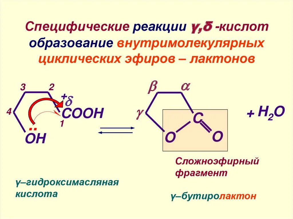 Гидролиз лактонов. Синтез лактонов. Образование лактонов. Валеролактон гидролиз.