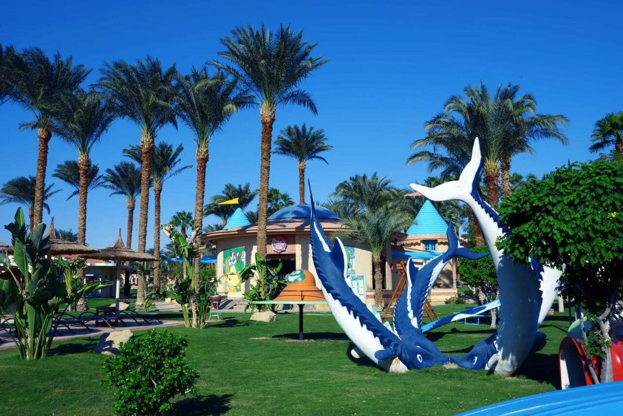 Pickalbatros beach resort hurghada. Отель в Египте Альбатрос Бич. Отель Beach Albatros Resort Hurghada. Beach Albatros Resort 4. Альбатрос Бич Хургада 4.