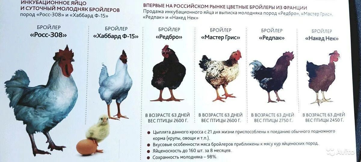 Характеристика кроссов
