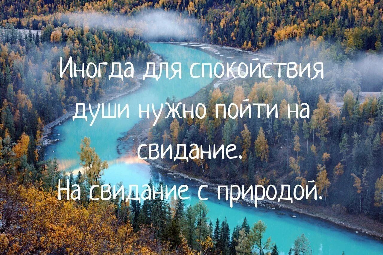 Душевно необходимо. Мудрые мысли о красоте природы. Цитаты про природу. Афоризмы о природе. Спокойствие в душе цитаты.