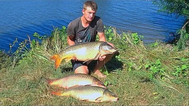 Алон видео рыбалка. Алон видео рыбалка. Рыбалка ранней весной. Алон видео рыбалка. Ловля щуки в жабовниках.